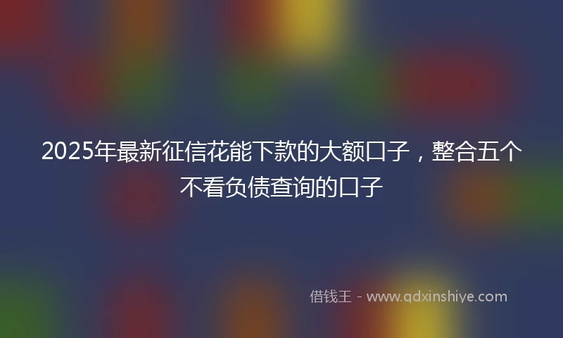2025年最新征信花能下款的大额口子，整合五个不看负债查询的口子