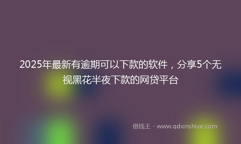 2025年最新有逾期可以下款的软件，分享5个无视黑花半夜下款的网贷平台