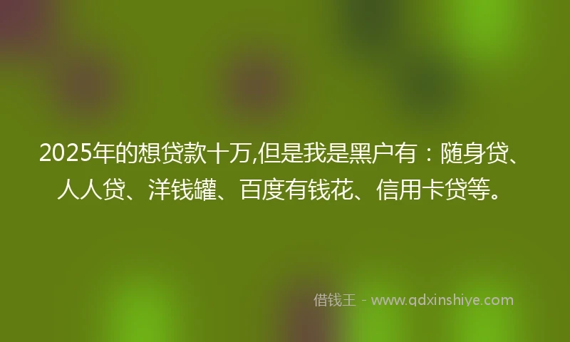 2025年的想贷款十万,但是我是黑户有：随身贷、人人贷、洋钱罐、百度有钱花、信用卡贷等。