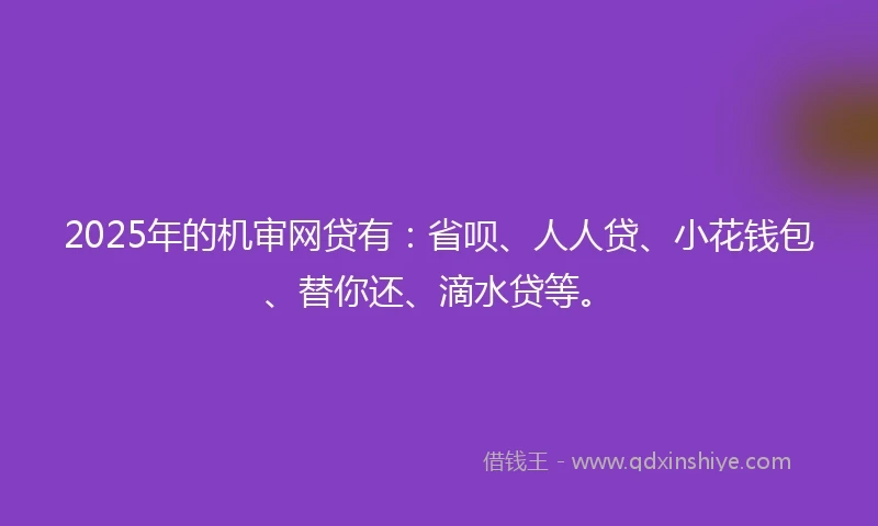 2025年的机审网贷有：省呗、人人贷、小花钱包、替你还、滴水贷等。