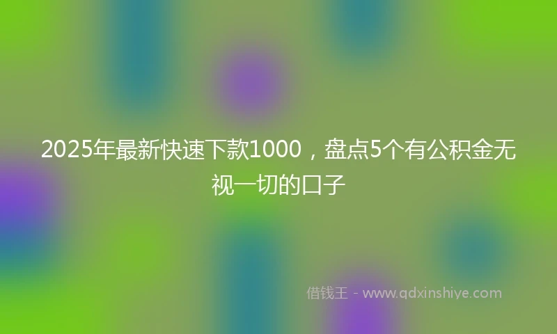 2025年最新快速下款1000，盘点5个有公积金无视一切的口子