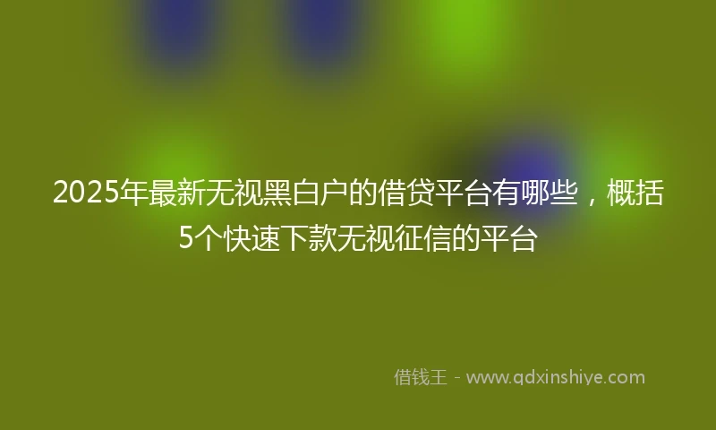 2025年最新无视黑白户的借贷平台有哪些，概括5个快速下款无视征信的平台