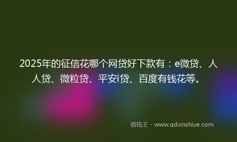 2025年的征信花哪个网贷好下款有：e微贷、人人贷、微粒贷、平安i贷、百度有钱花等。