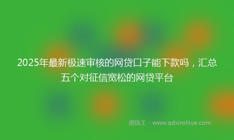 2025年最新极速审核的网贷口子能下款吗，汇总五个对征信宽松的网贷平台