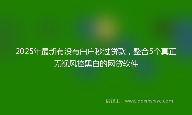 2025年最新有没有白户秒过贷款，整合5个真正无视风控黑白的网贷软件
