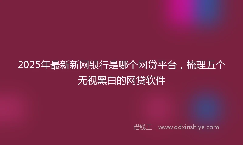 2025年最新新网银行是哪个网贷平台，梳理五个无视黑白的网贷软件