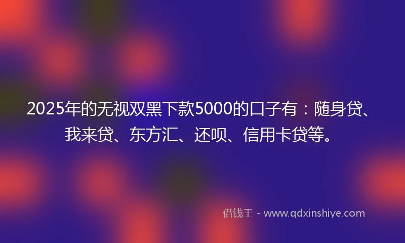 2025年的无视双黑下款5000的口子有：随身贷、我来贷、东方汇、还呗、信用卡贷等。