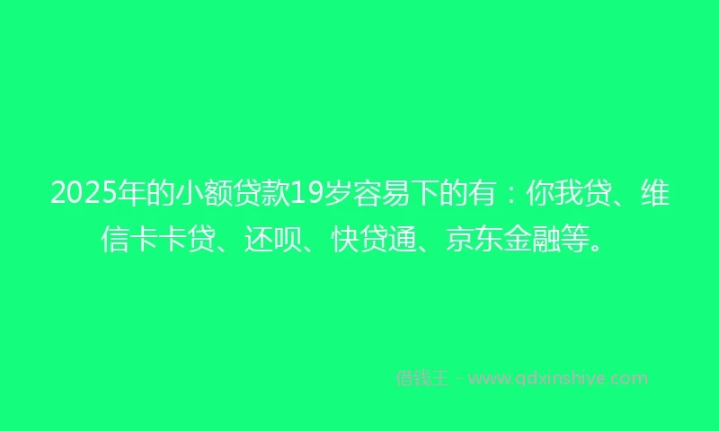 2025年的小额贷款19岁容易下的有：你我贷、维信卡卡贷、还呗、快贷通、京东金融等。