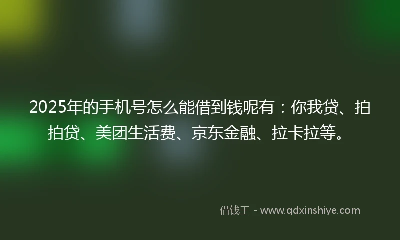 2025年的手机号怎么能借到钱呢有：你我贷、拍拍贷、美团生活费、京东金融、拉卡拉等。