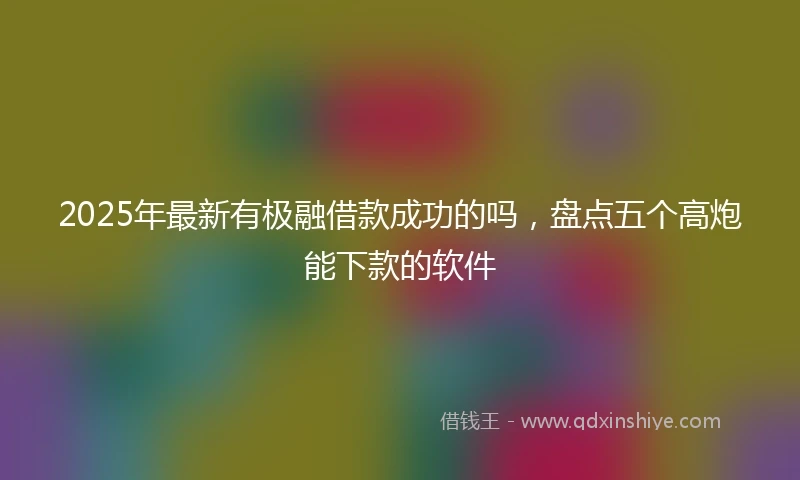 2025年最新有极融借款成功的吗，盘点五个高炮能下款的软件
