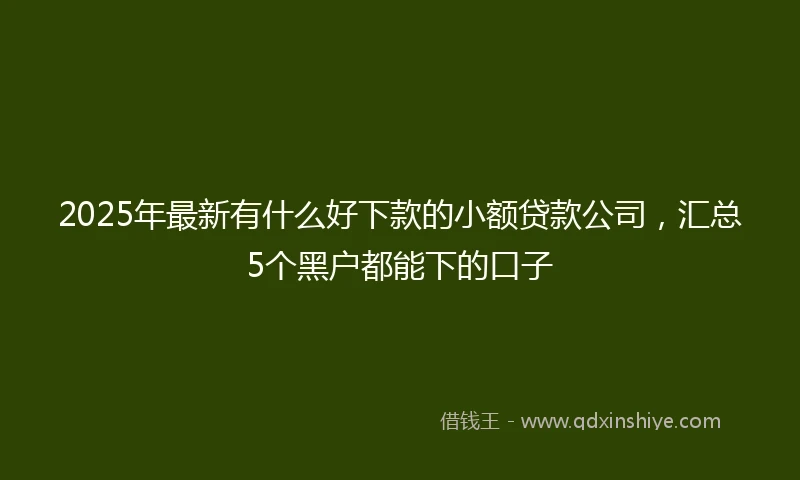 2025年最新有什么好下款的小额贷款公司，汇总5个黑户都能下的口子