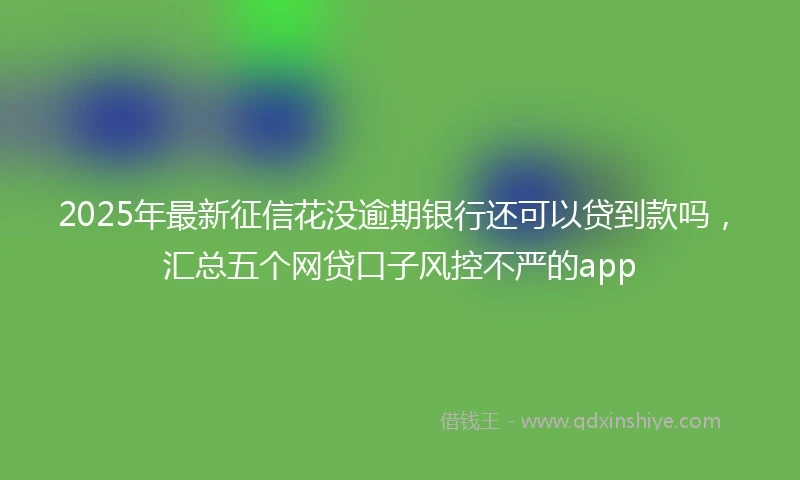 2025年最新征信花没逾期银行还可以贷到款吗，汇总五个网贷口子风控不严的app