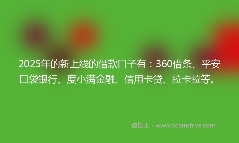 2025年的新上线的借款口子有：360借条、平安口袋银行、度小满金融、信用卡贷、拉卡拉等。