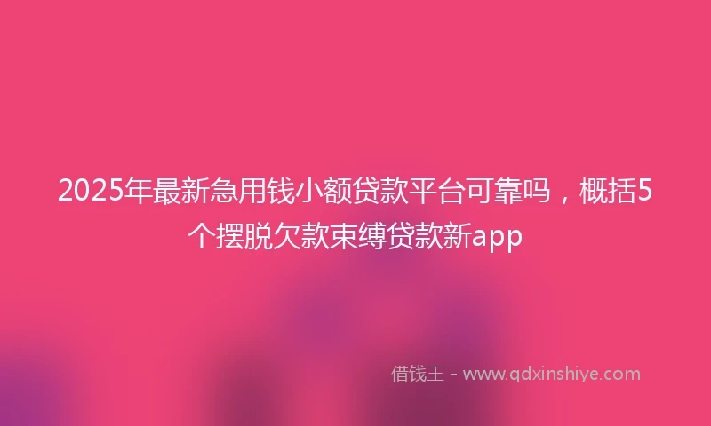 2025年最新急用钱小额贷款平台可靠吗，概括5个摆脱欠款束缚贷款新app