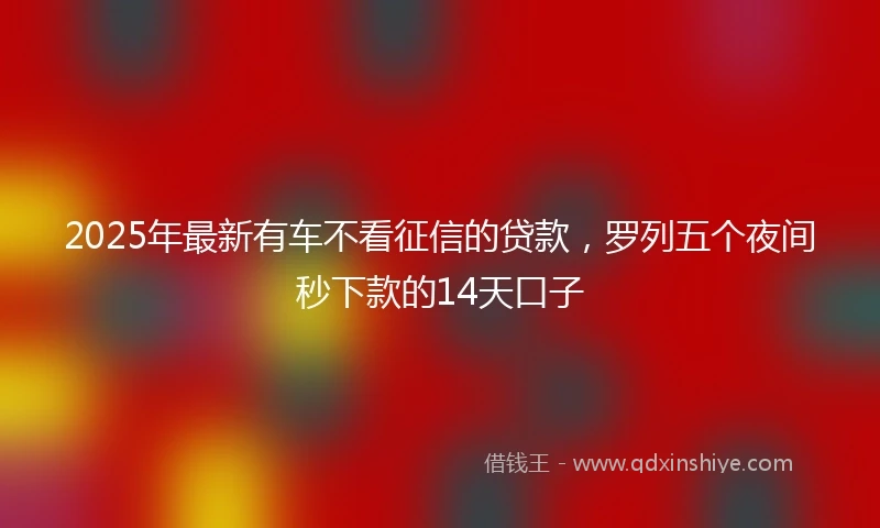 2025年最新有车不看征信的贷款，罗列五个夜间秒下款的14天口子