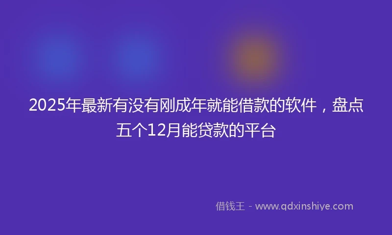 2025年最新有没有刚成年就能借款的软件，盘点五个12月能贷款的平台