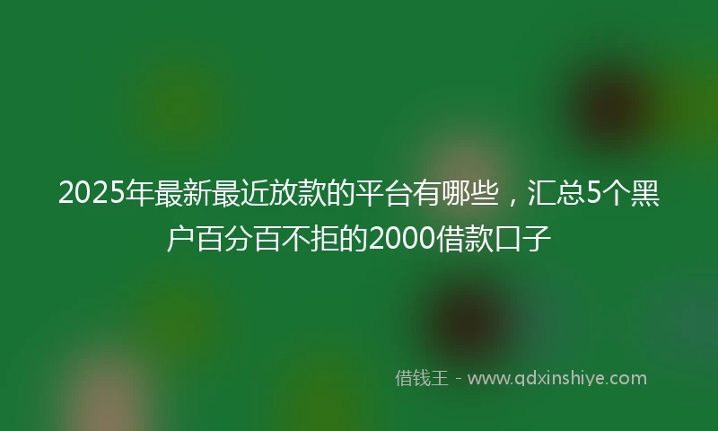 2025年最新最近放款的平台有哪些，汇总5个黑户百分百不拒的2000借款口子