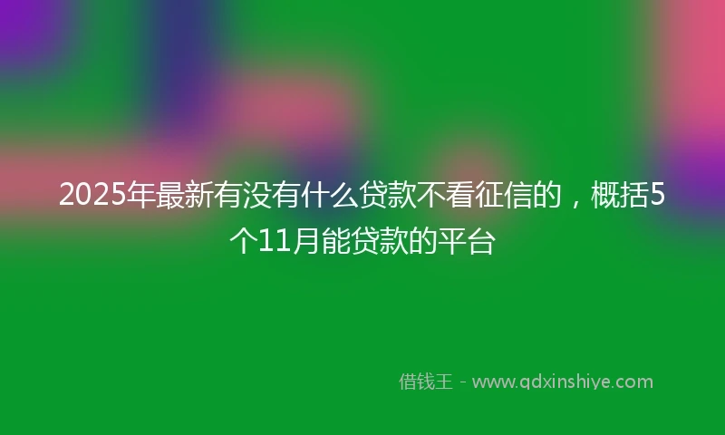 2025年最新有没有什么贷款不看征信的，概括5个11月能贷款的平台