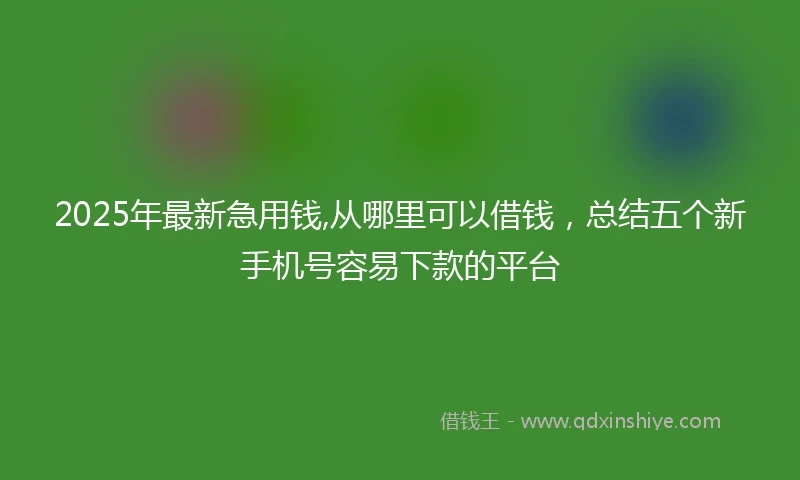 2025年最新急用钱,从哪里可以借钱，总结五个新手机号容易下款的平台