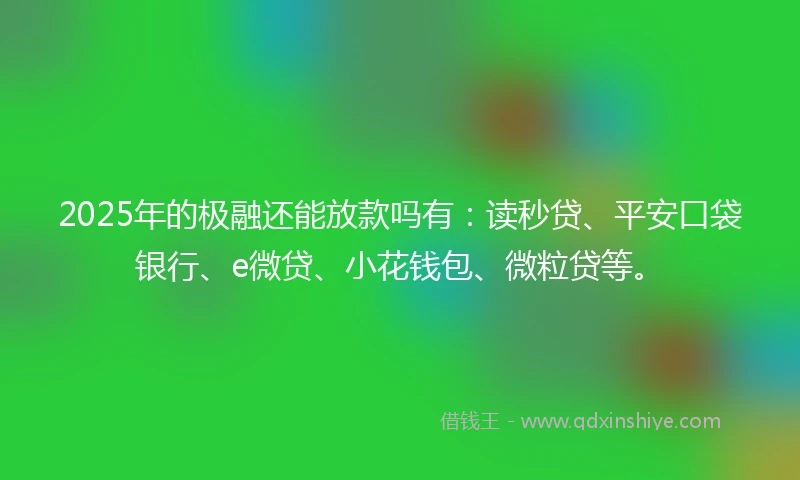 2025年的极融还能放款吗有：读秒贷、平安口袋银行、e微贷、小花钱包、微粒贷等。