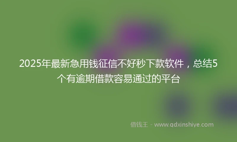 2025年最新急用钱征信不好秒下款软件，总结5个有逾期借款容易通过的平台