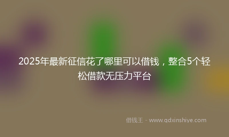 2025年最新征信花了哪里可以借钱，整合5个轻松借款无压力平台