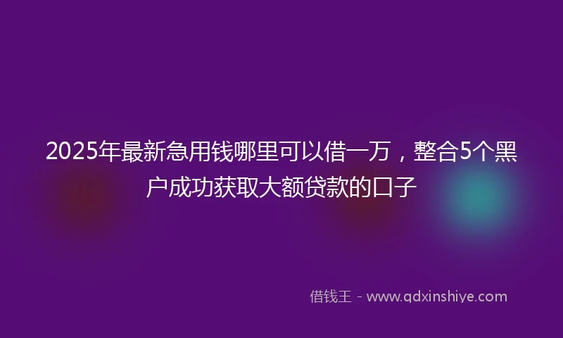 2025年最新急用钱哪里可以借一万，整合5个黑户成功获取大额贷款的口子