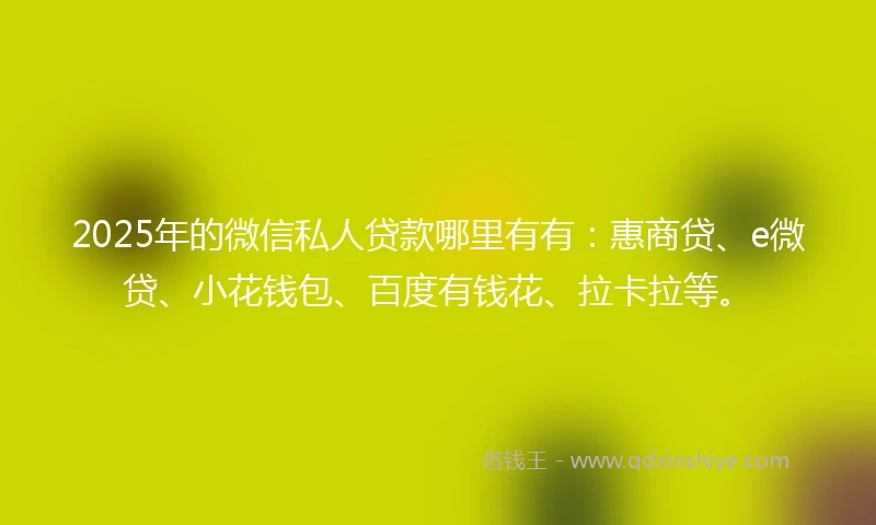 2025年的微信私人贷款哪里有有：惠商贷、e微贷、小花钱包、百度有钱花、拉卡拉等。