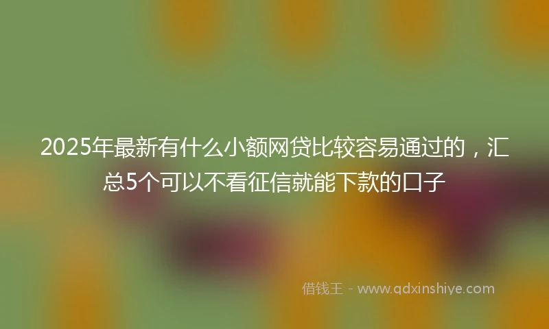 2025年最新有什么小额网贷比较容易通过的，汇总5个可以不看征信就能下款的口子