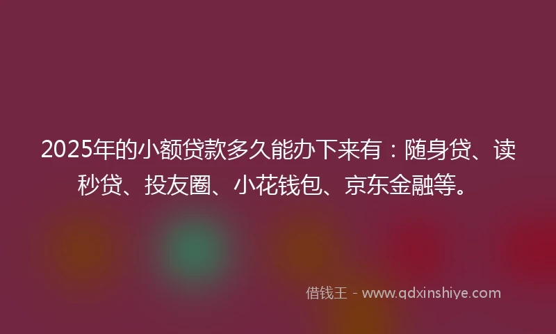 2025年的小额贷款多久能办下来有：随身贷、读秒贷、投友圈、小花钱包、京东金融等。
