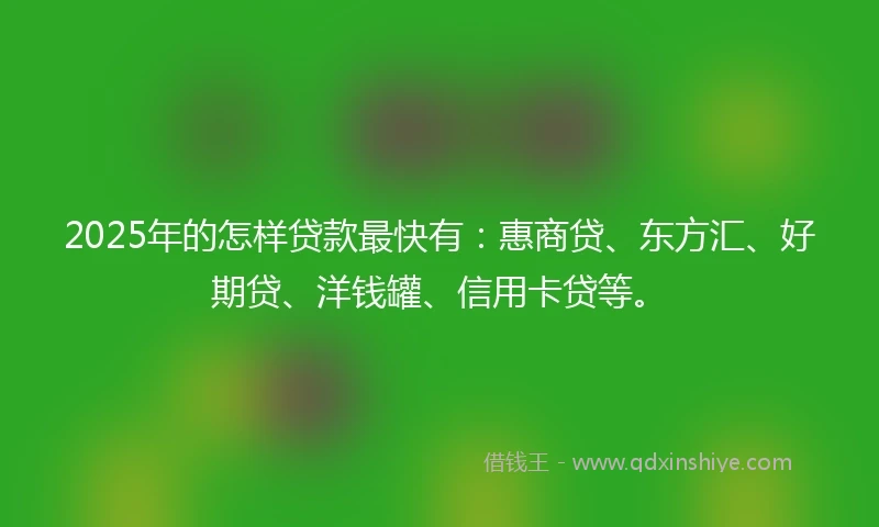 2025年的怎样贷款最快有：惠商贷、东方汇、好期贷、洋钱罐、信用卡贷等。