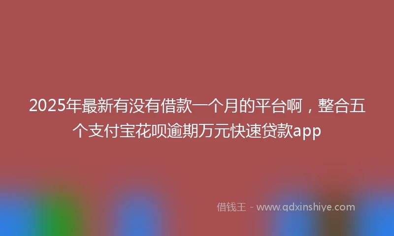 2025年最新有没有借款一个月的平台啊，整合五个支付宝花呗逾期万元快速贷款app