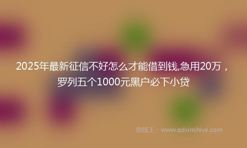 2025年最新征信不好怎么才能借到钱,急用20万，罗列五个1000元黑户必下小贷