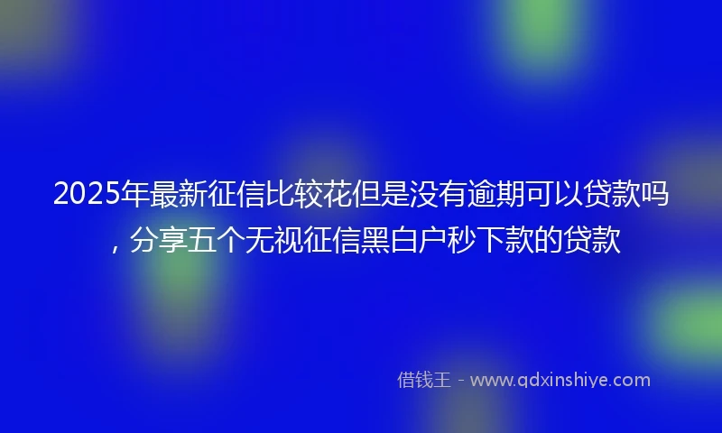 2025年最新征信比较花但是没有逾期可以贷款吗，分享五个无视征信黑白户秒下款的贷款
