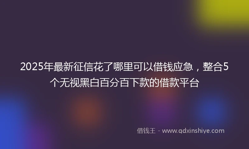 2025年最新征信花了哪里可以借钱应急，整合5个无视黑白百分百下款的借款平台