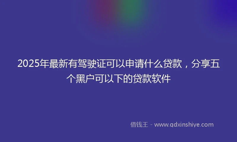 2025年最新有驾驶证可以申请什么贷款，分享五个黑户可以下的贷款软件