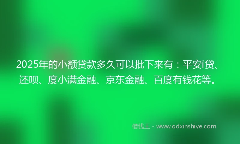 2025年的小额贷款多久可以批下来有：平安i贷、还呗、度小满金融、京东金融、百度有钱花等。