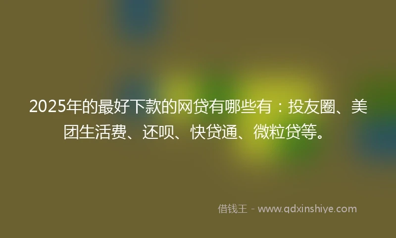 2025年的最好下款的网贷有哪些有：投友圈、美团生活费、还呗、快贷通、微粒贷等。