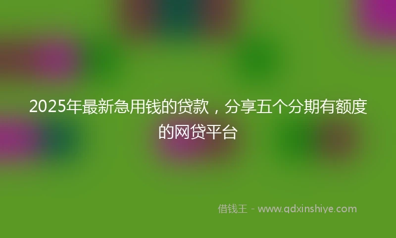 2025年最新急用钱的贷款，分享五个分期有额度的网贷平台