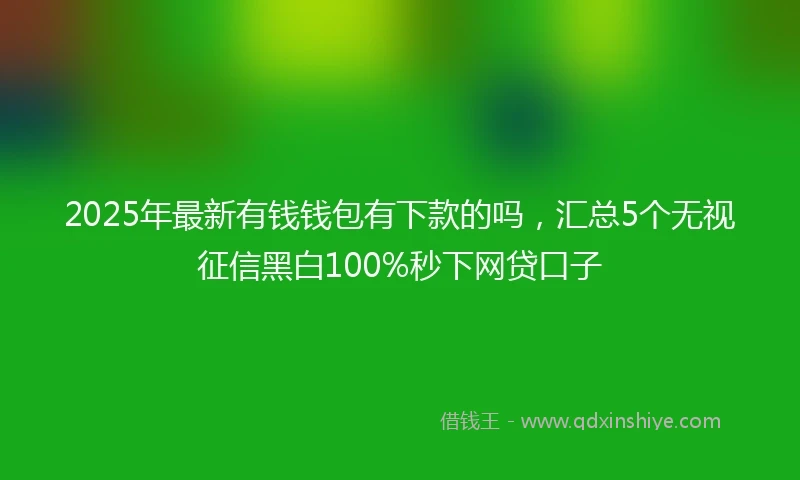 2025年最新有钱钱包有下款的吗，汇总5个无视征信黑白100%秒下网贷口子