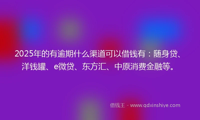 2025年的有逾期什么渠道可以借钱有：随身贷、洋钱罐、e微贷、东方汇、中原消费金融等。