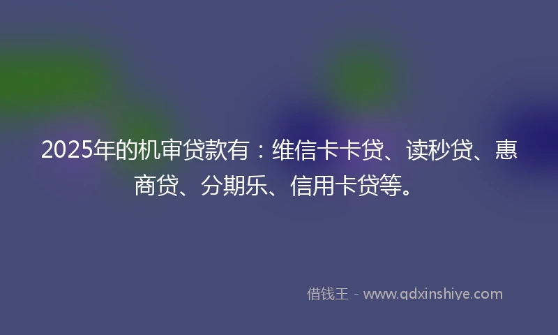 2025年的机审贷款有：维信卡卡贷、读秒贷、惠商贷、分期乐、信用卡贷等。