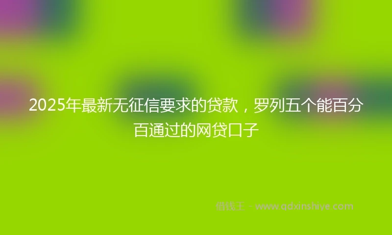 2025年最新无征信要求的贷款，罗列五个能百分百通过的网贷口子