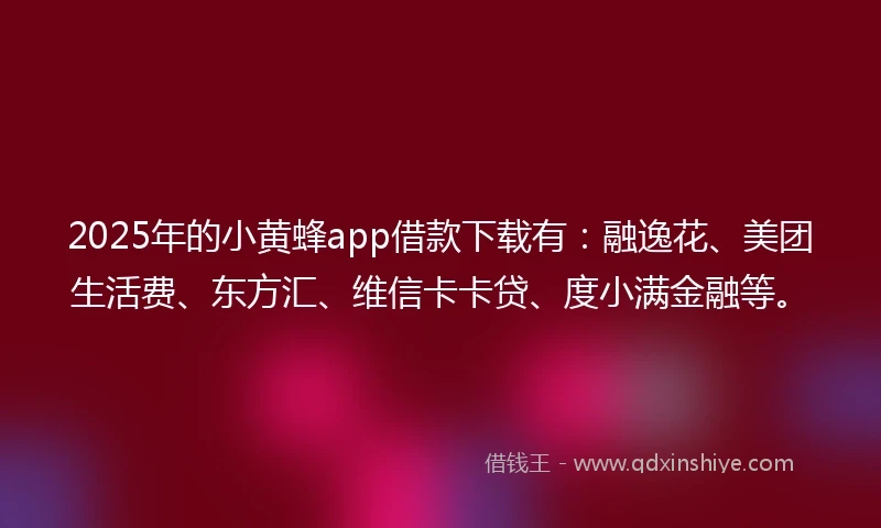 2025年的小黄蜂app借款下载有:融逸花、美团生活费、东方汇、维信卡卡贷、度小满金融等。