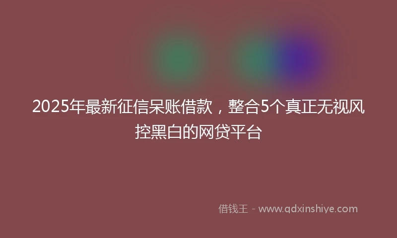 2025年最新征信呆账借款，整合5个真正无视风控黑白的网贷平台
