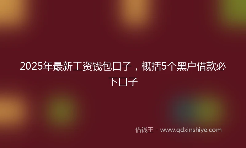 2025年最新工资钱包口子，概括5个黑户借款必下口子