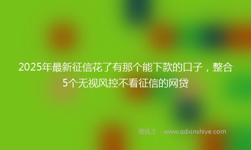 2025年最新征信花了有那个能下款的口子，整合5个无视风控不看征信的网贷