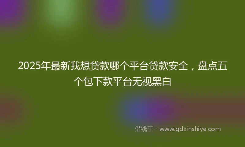 2025年最新我想贷款哪个平台贷款安全，盘点五个包下款平台无视黑白