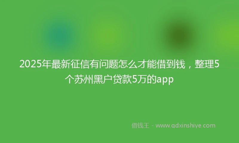 2025年最新征信有问题怎么才能借到钱，整理5个苏州黑户贷款5万的app
