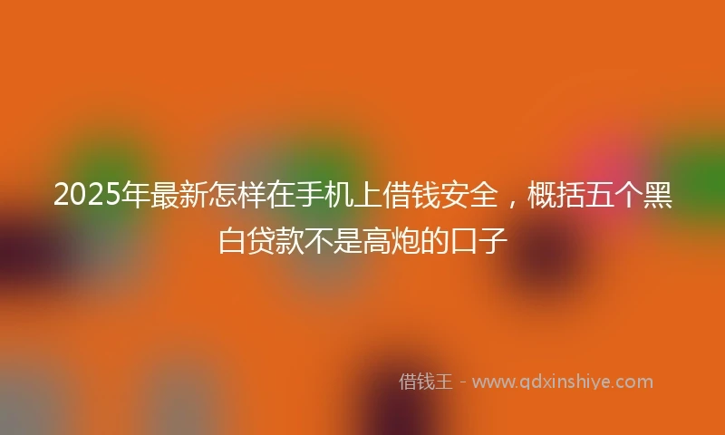 2025年最新怎样在手机上借钱安全，概括五个黑白贷款不是高炮的口子
